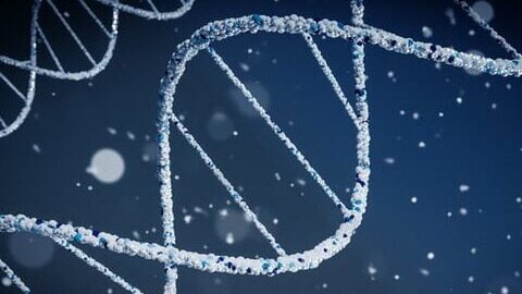 DNA Replication-3D Animation