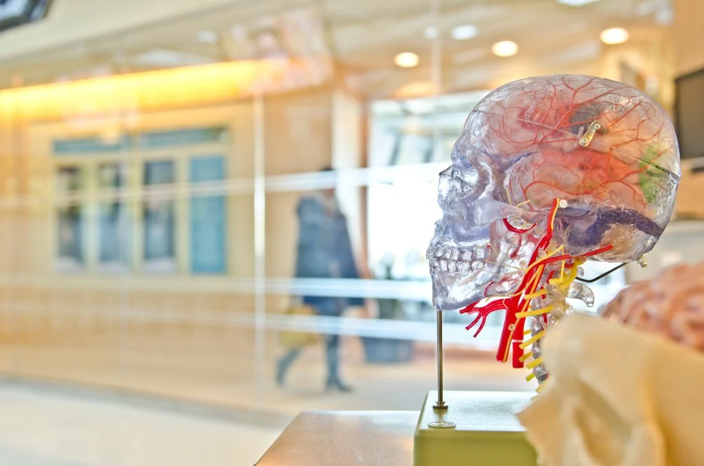 Do we really use only 10% of our brain?