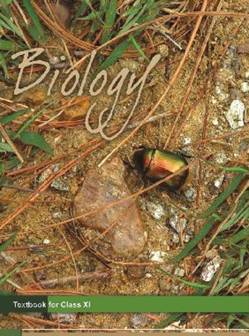 Class XI Biology NCERT Text Book | Chapterwise PDF | Free Download