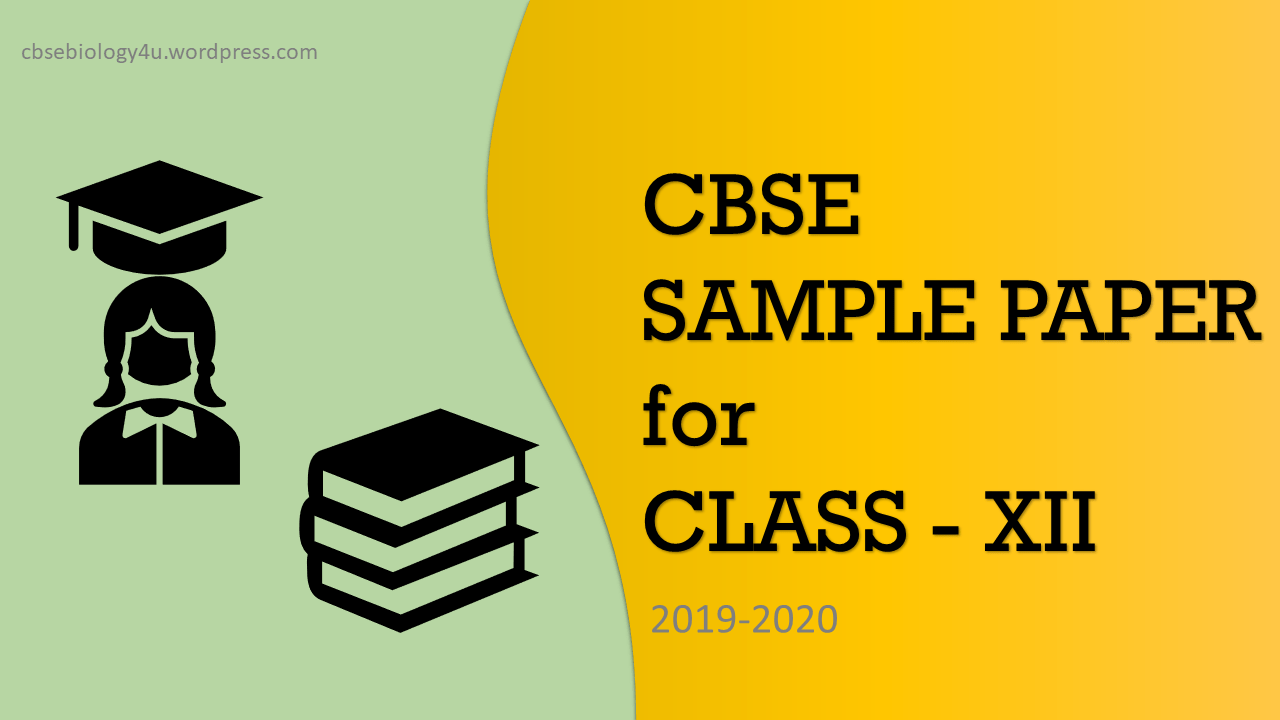 CBSE Sample Paper | Class – XII | 2019-20