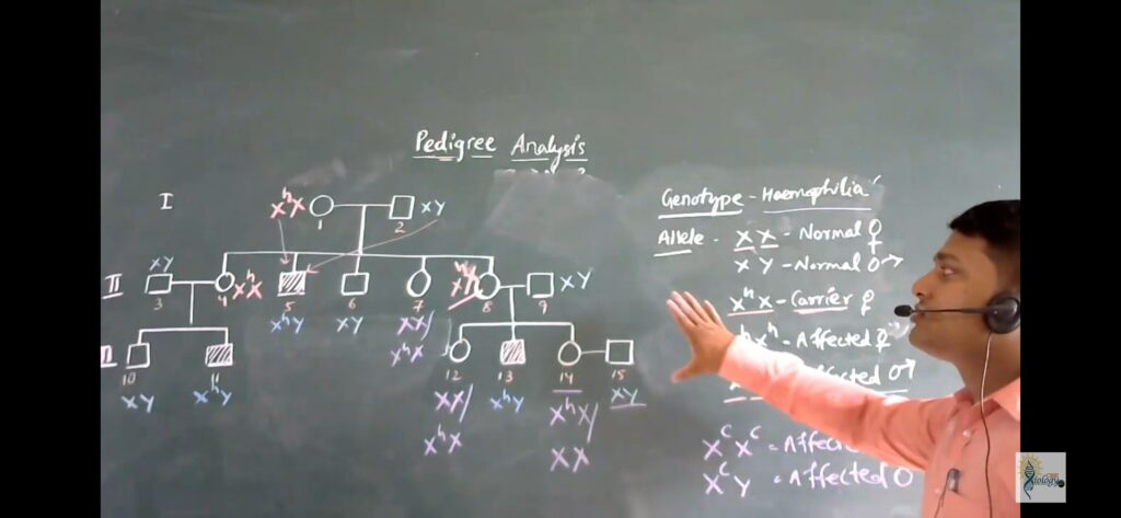 How to Solve Pedigree Based Questions - Class 12 Biology