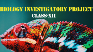 Biology Investigatory Project- cbsebiology4u