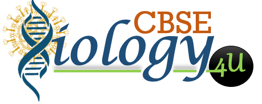 cbsebiology4u-logo-new