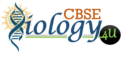cbsebiology4u-logo-new