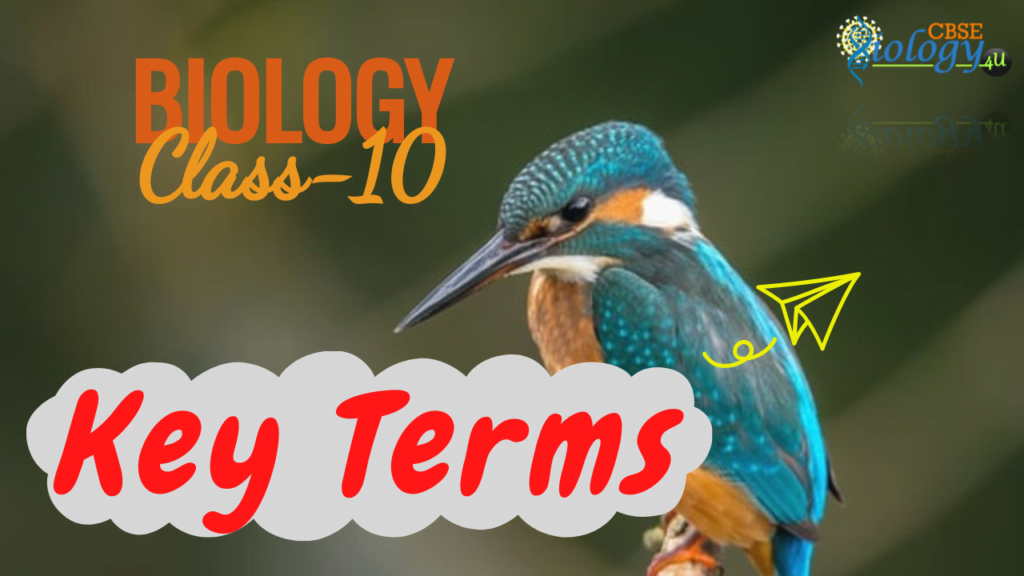 Key Terms-Class 10-cbsebiology4u