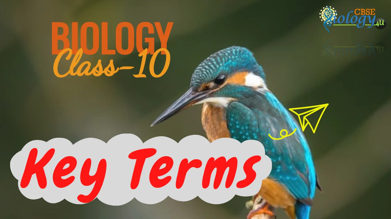 Important terms & it's definition | Class-10 | Biology | CBSE