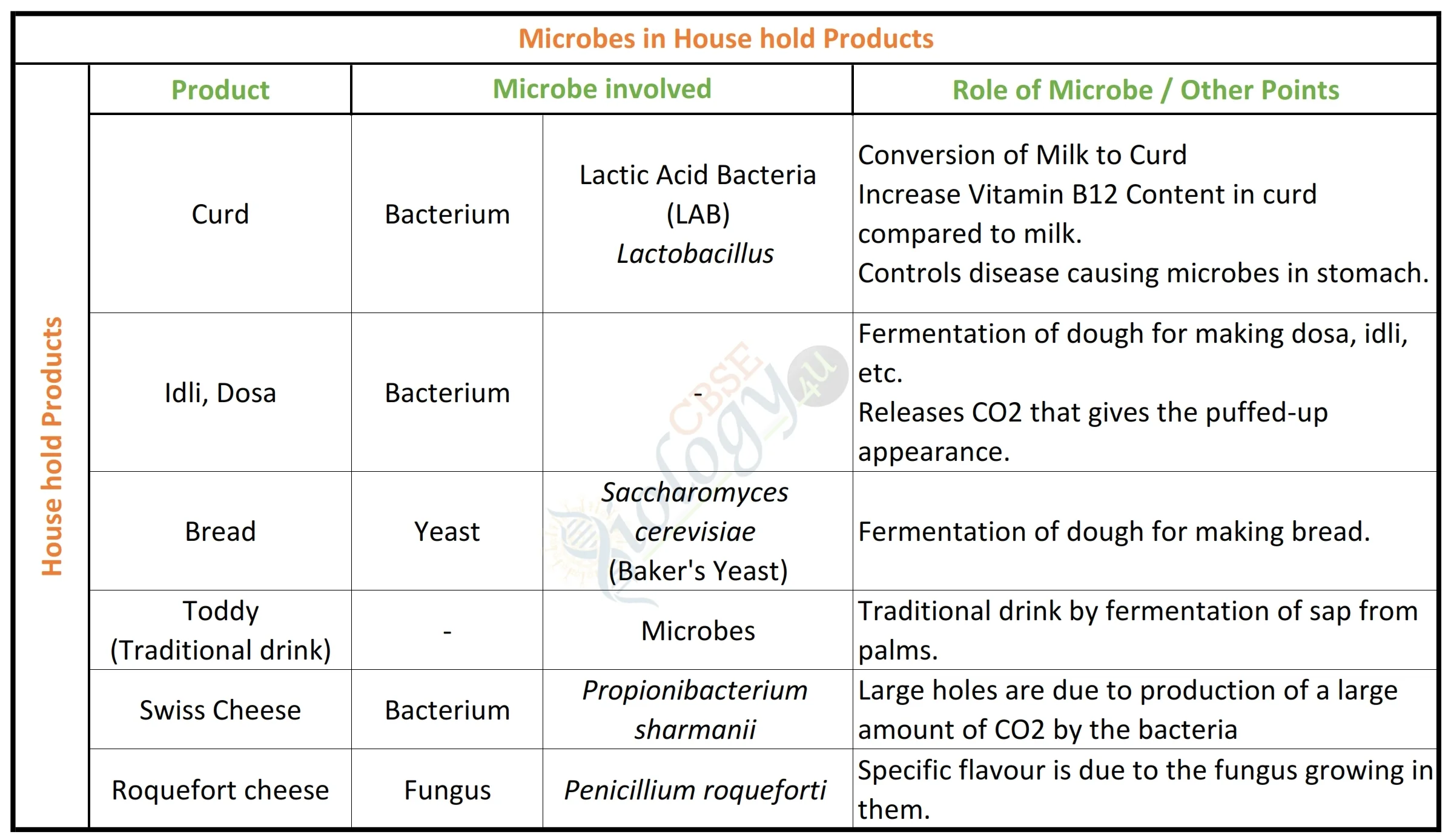 Microbes in Human Welfare - cbsebiology4u