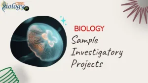 Biology Investigatory Projects – Download PDF/Word File – Updated